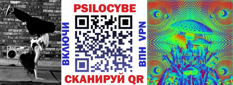Псилоцибиновые грибы Psilocybe что такое наркотик Каменногорск